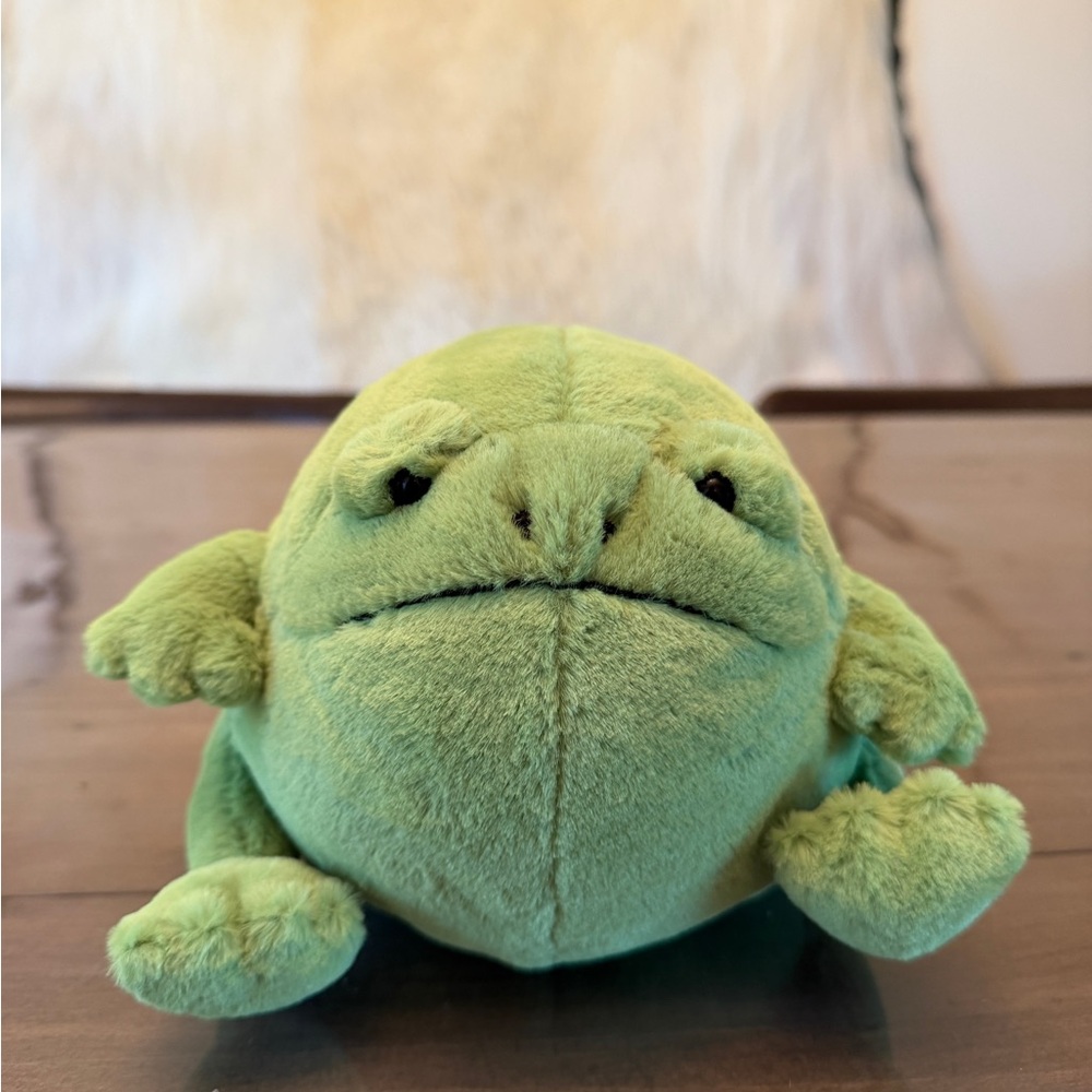 Jellycat Lime Green Plush Frog Stuffed Animal (Ricky the Rain Frog)